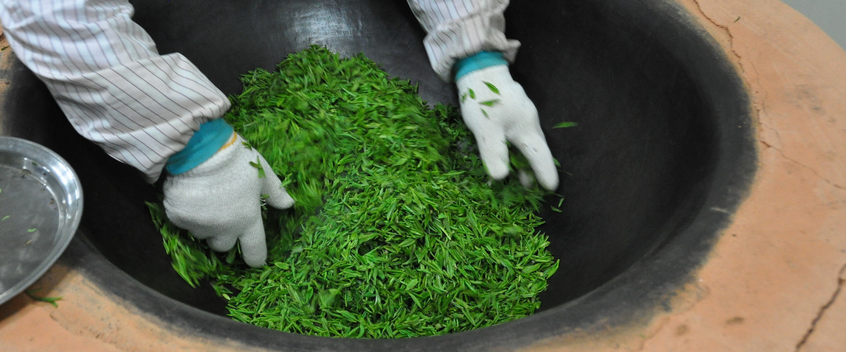 Grönt te rostas i wok - hantverksmässig tillverkning i Korea