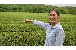 The difference between black, green, oolong, ...
